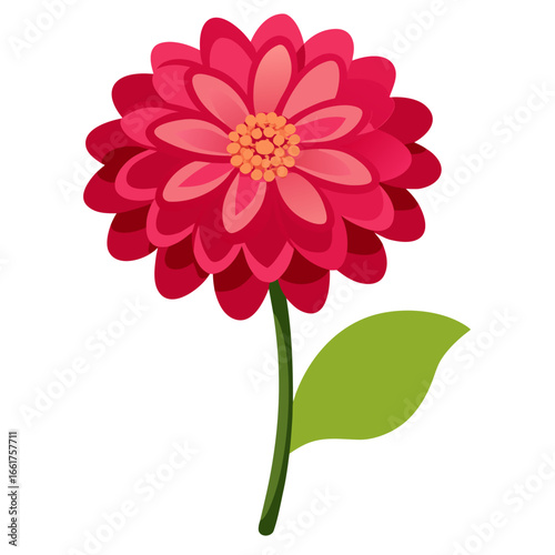  zinnia elegans vector on white