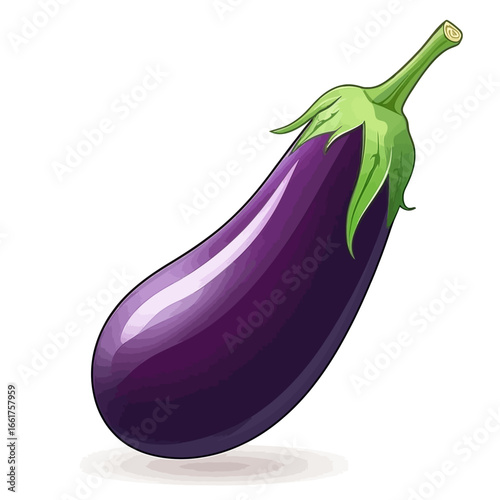 Vector eggplant 