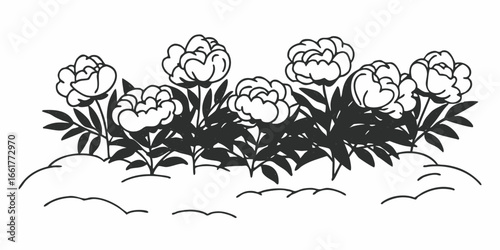 Illustration of a garden bed with blooming flowers and leaves in a black and white drawing style on transparent background