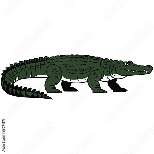 crocodile isolated on white