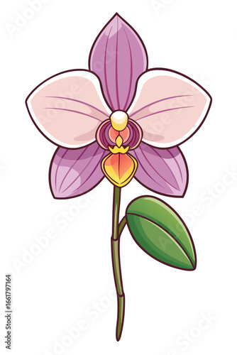 vector illustration of orchid