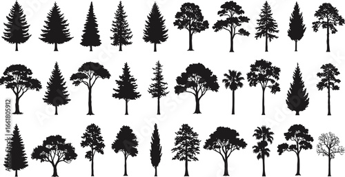 Tree silhouette collection, forest nature vector, park landscape design, black botanical artwork, pine oak palm trees, woodland illustration, decorative plant