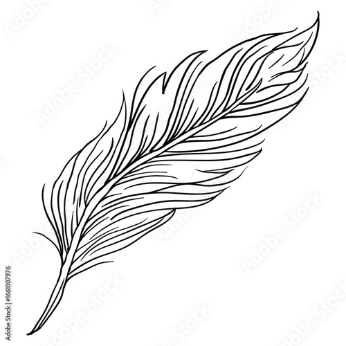 Hand drawing style of feather tattoo art vector. It s suitable for tattoo icon, sign or symbol.