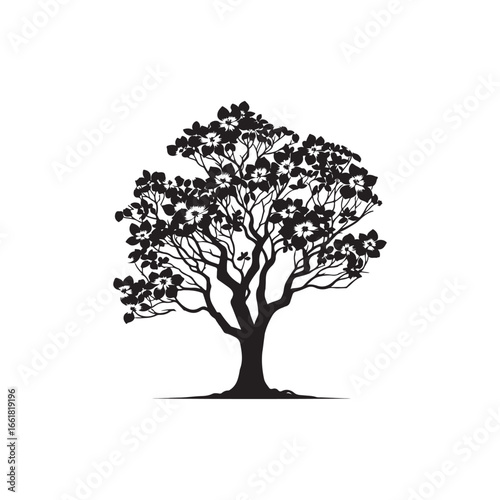 Dogwood Tree Silhouette Isolated on White Background.
