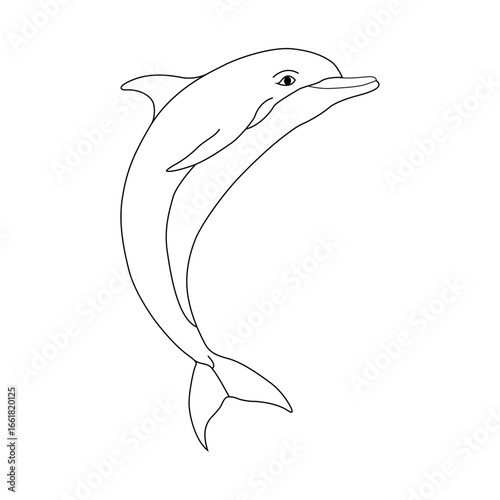 Dolphin line art vector design.Dolphin outline illustration design.