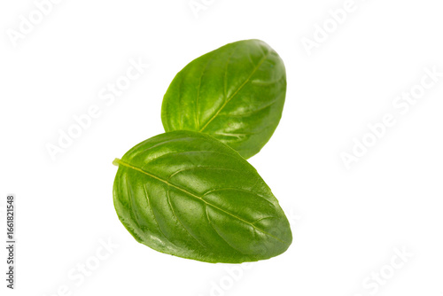 Fresh basil leaves isolated...