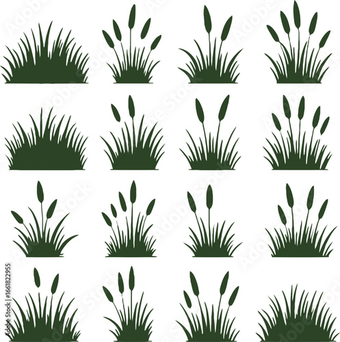 Collection of green grass and cattails vector silhouettes set