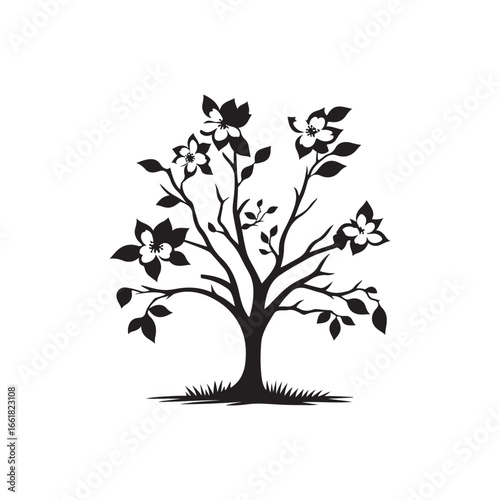 Dogwood Tree Silhouette Isolated on White Background.