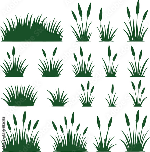 Collection of green grass and reeds silhouette isolated on white