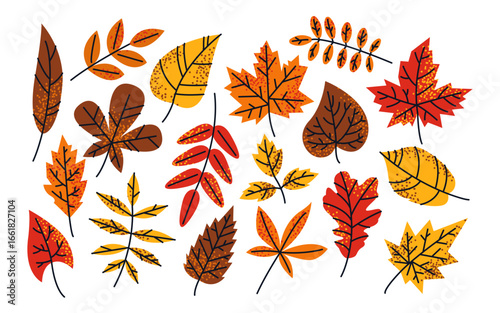 Autumn leaves. Seasonal foliage with texture in flat style. Fall nature.