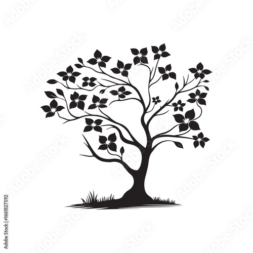 Dogwood Tree Silhouette Isolated on White Background.
