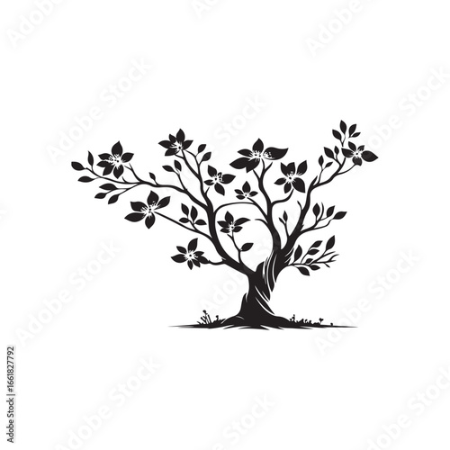 Dogwood Tree Silhouette Isolated on White Background.