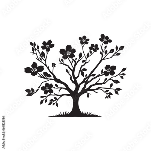 Dogwood Tree Silhouette Isolated on White Background.