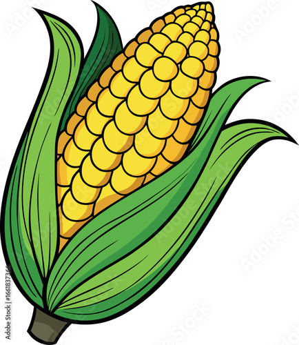 Realistic color Vector art silhouette image of an ear of corn