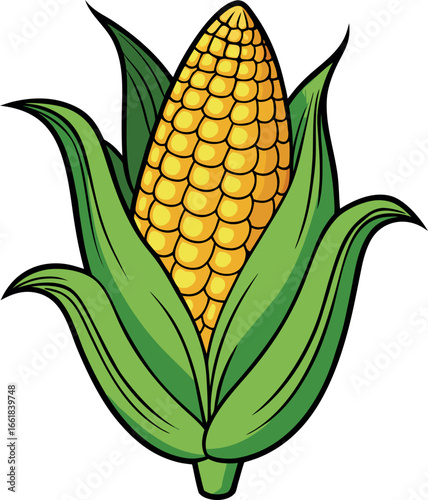 Realistic color Vector art silhouette image of an ear of corn