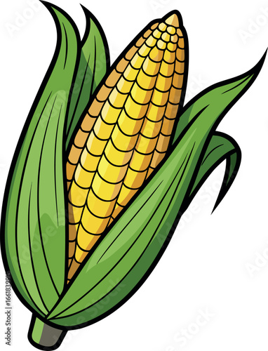 Realistic color Vector art silhouette image of an ear of corn