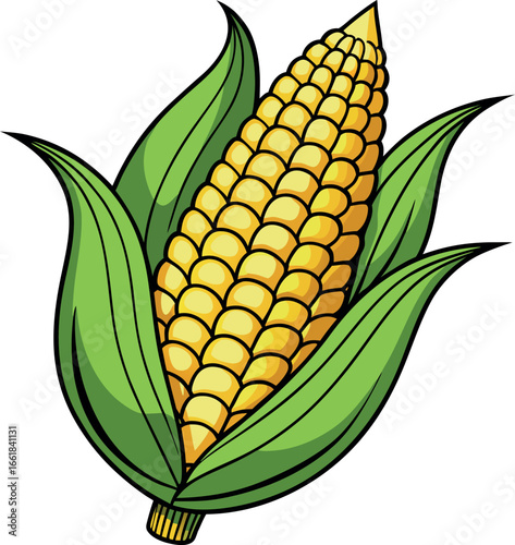 Realistic color Vector art silhouette image of an ear of corn