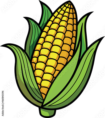 Realistic color Vector art silhouette image of an ear of corn