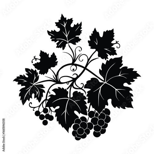 Black silhouette of grape leaves and clusters with swirling vines