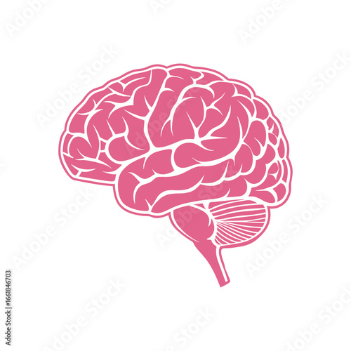 Pink human brain silhouette with white details on white background mind thinking