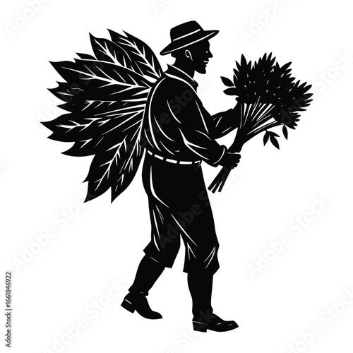 Farmer carrying harvested tobacco leaves on his back and in his hands