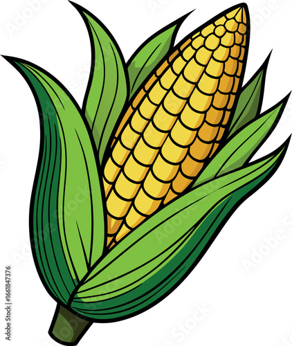 Realistic color Vector art silhouette image of an ear of corn
