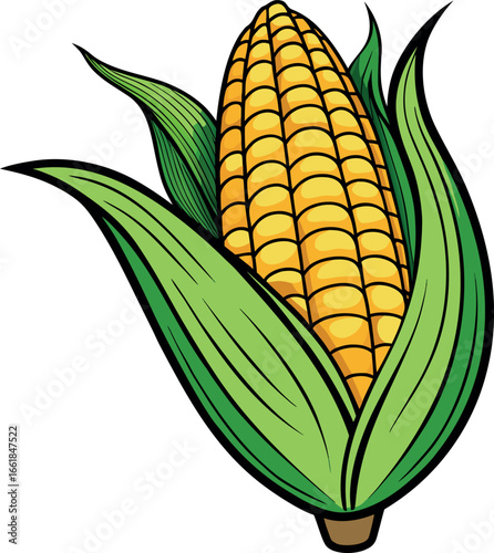 Realistic color Vector art silhouette image of an ear of corn