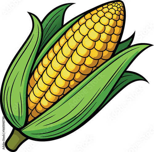 Realistic color Vector art silhouette image of an ear of corn