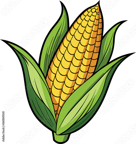 Realistic color Vector art silhouette image of an ear of corn