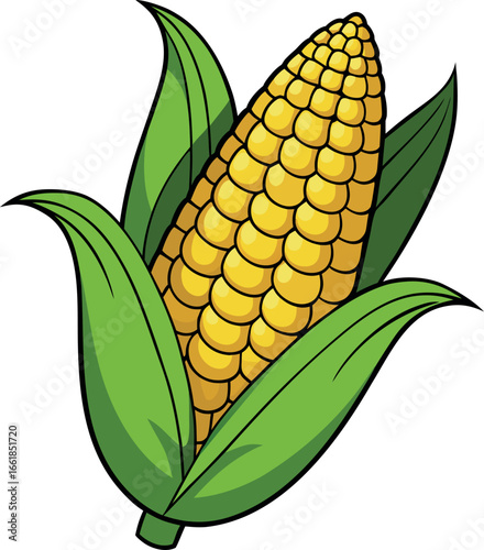 Realistic color Vector art silhouette image of an ear of corn