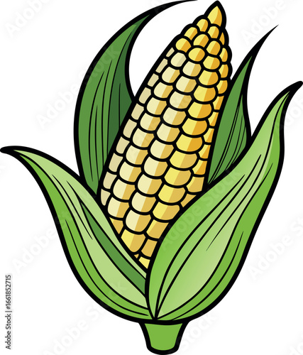 Realistic color Vector art silhouette image of an ear of corn