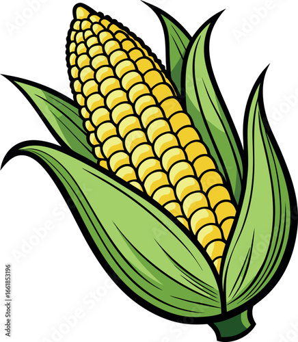 Realistic color Vector art silhouette image of an ear of corn