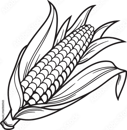 Vector art silhouette image of an ear of corn with a black outline drawing