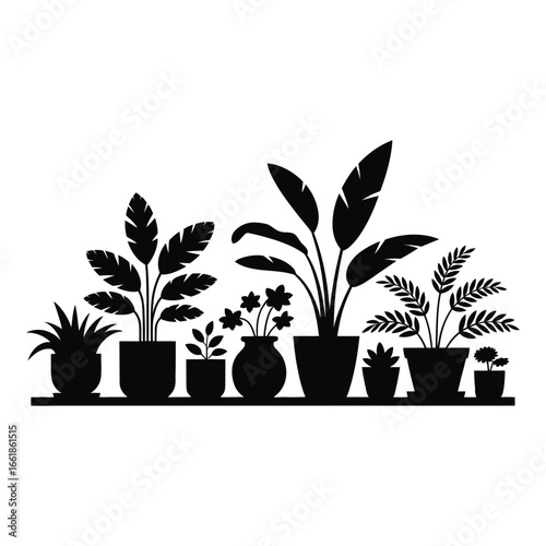 Collection of silhouetted potted houseplants on a shelf