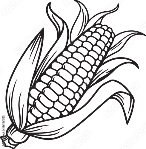 Vector art silhouette image of an ear of corn with a black outline drawing