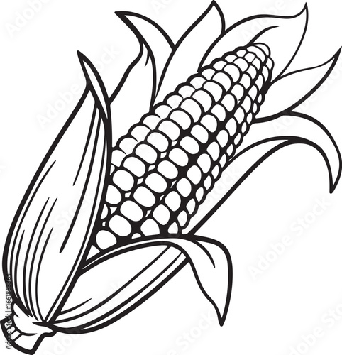 Vector art silhouette image of an ear of corn with a black outline drawing
