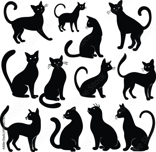 Elegant Black Cat Silhouettes A Collection of Poses and Styles