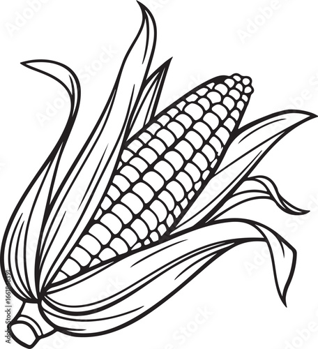 Vector art silhouette image of an ear of corn with a black outline drawing