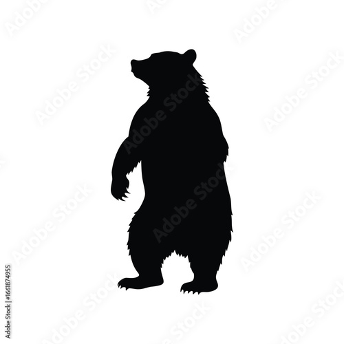Silhouette of a majestic bear standing tall and looking towards the future, bear standing hind legs silhouette vector illustration