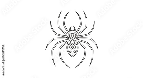 Spider Illustration: Detailed outline of a spider, illustrating its features with precision, perfect for educational or design purposes. 