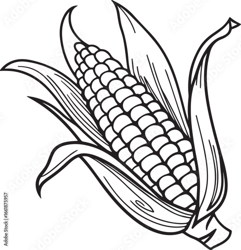 Vector art silhouette image of an ear of corn with a black outline drawing