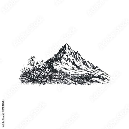 Detailed sketch of a mountain peak with wildflowers and grass in the foreground