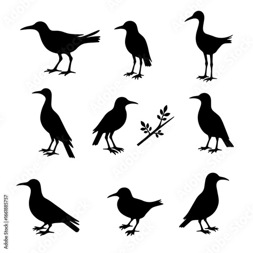 Birds silhouette set in white background