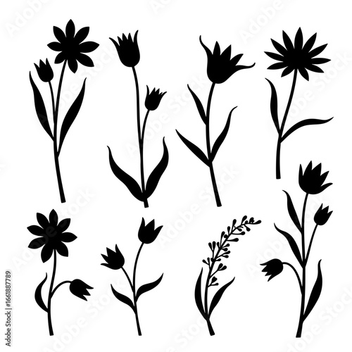 Flower silhouette set in white background	