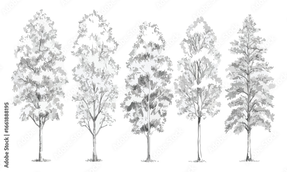 Fototapeta premium Tree Root System Cross-Section Vector Urban Landscaping, Arboriculture & Soil Illustration