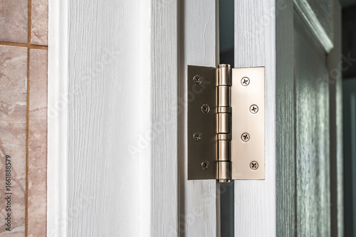 Metal door hinge on open white wooden door.