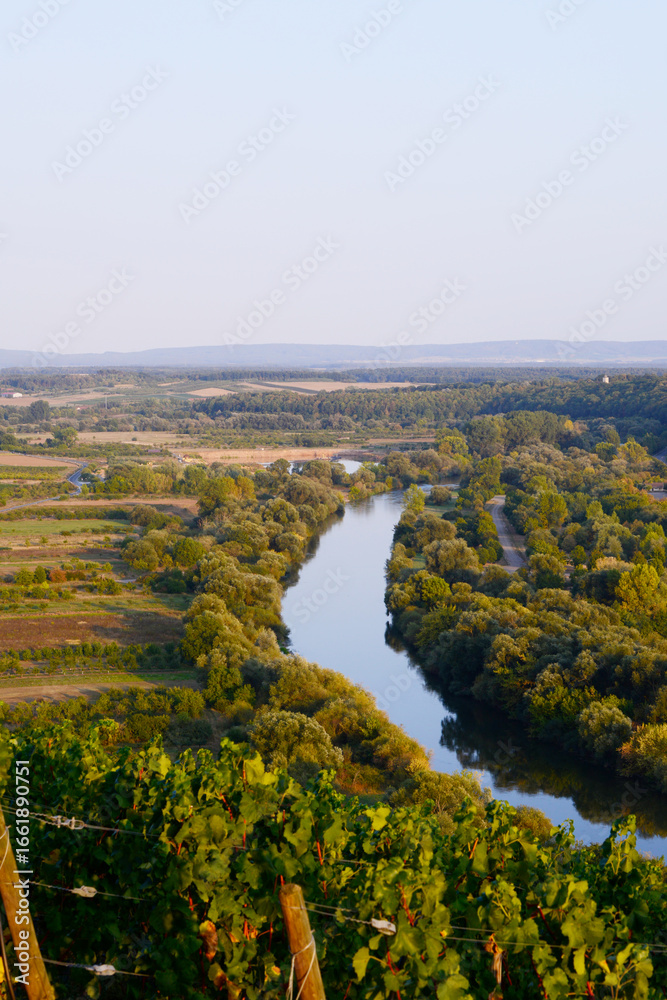 Fototapeta premium Weinlandschaft, Unterfranken
