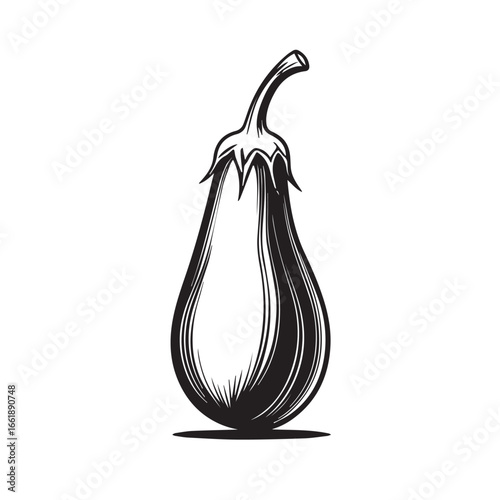 Vector art of black and white illustration of an eggplant with stem and leaves, isolated on white background