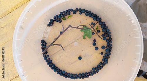 Blueberries are lying at the bottom of a transparent plastic bucket.