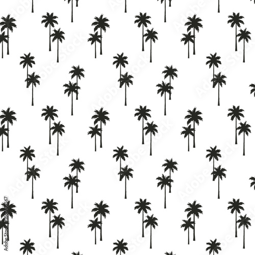 palm trees